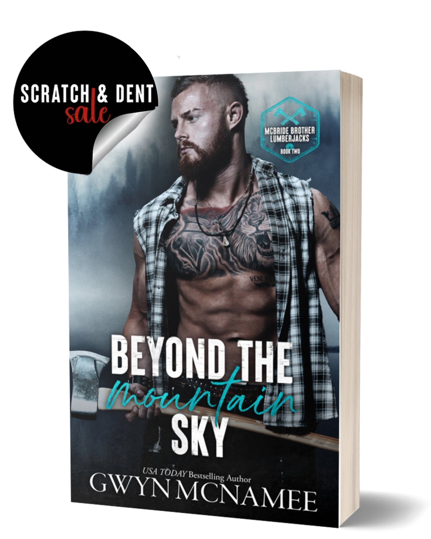 Beyond the Mountain Sky Scratch & Dent