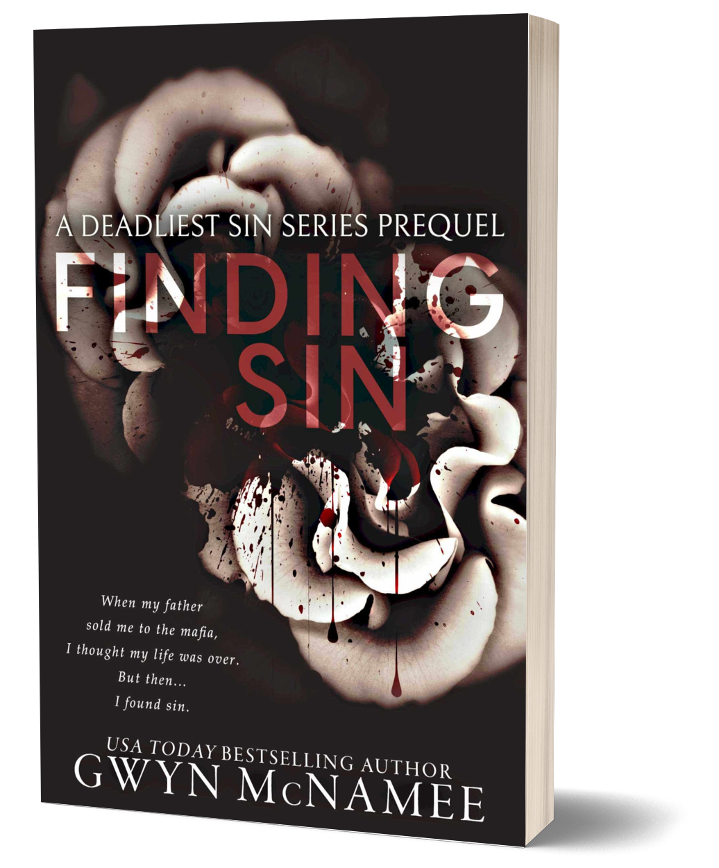 Finding Sin Paperback